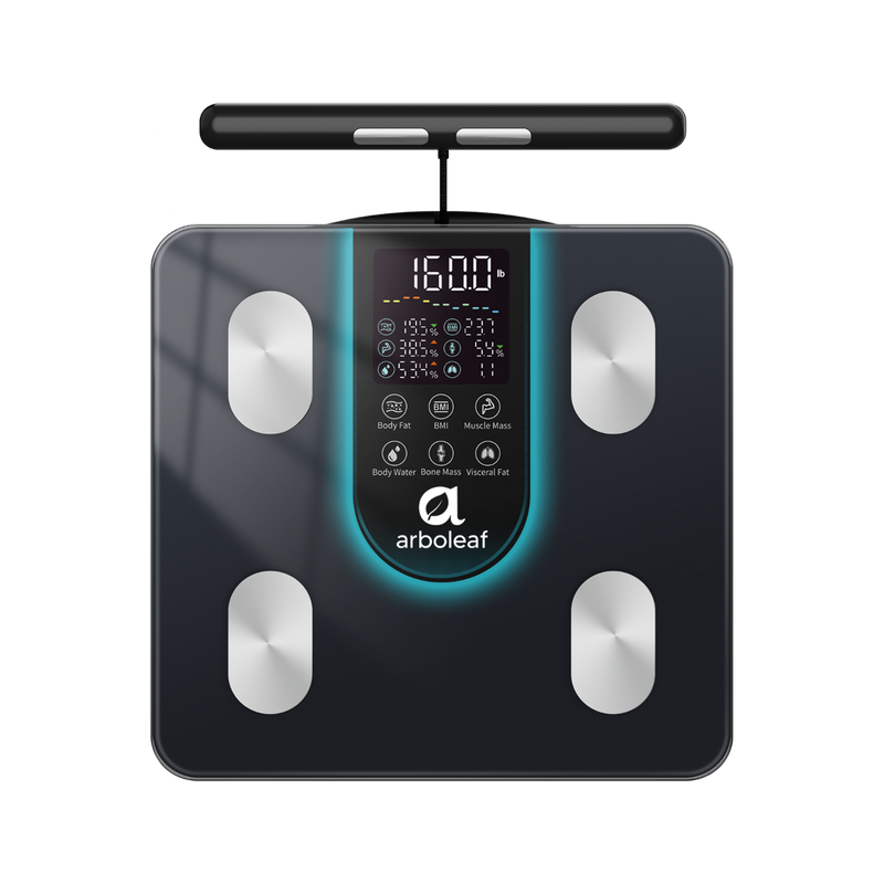 Segmental Smart Scale CS10K